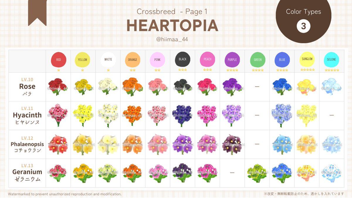 5. Flores de Nivel Superior