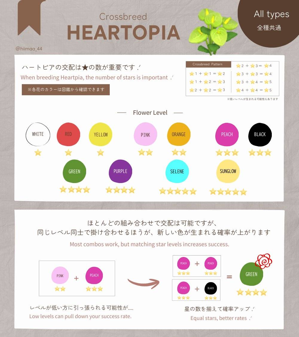 1. Conceptos Básicos